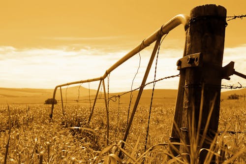 Free stock photo of country, farm gate, farming