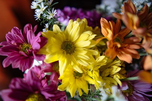Free A close-up of a vibrant bouquet featuring yellow, pink, and orange flowers, perfect for floral themes. Stock Photo