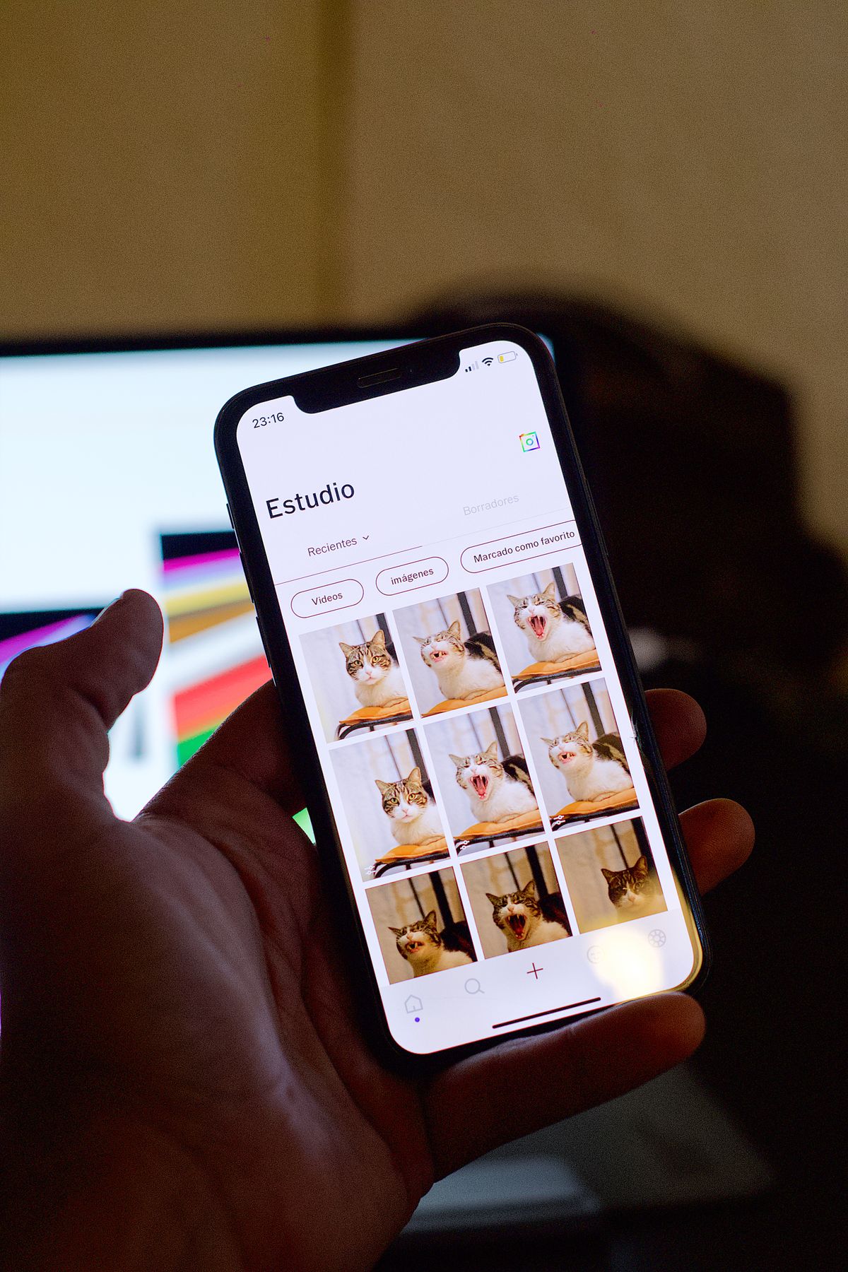 Smartphone displaying pet images relevant to connected Nuvopet monitoring and smart-pet routines