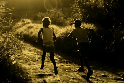 Free stock photo of children running, farm, sunset