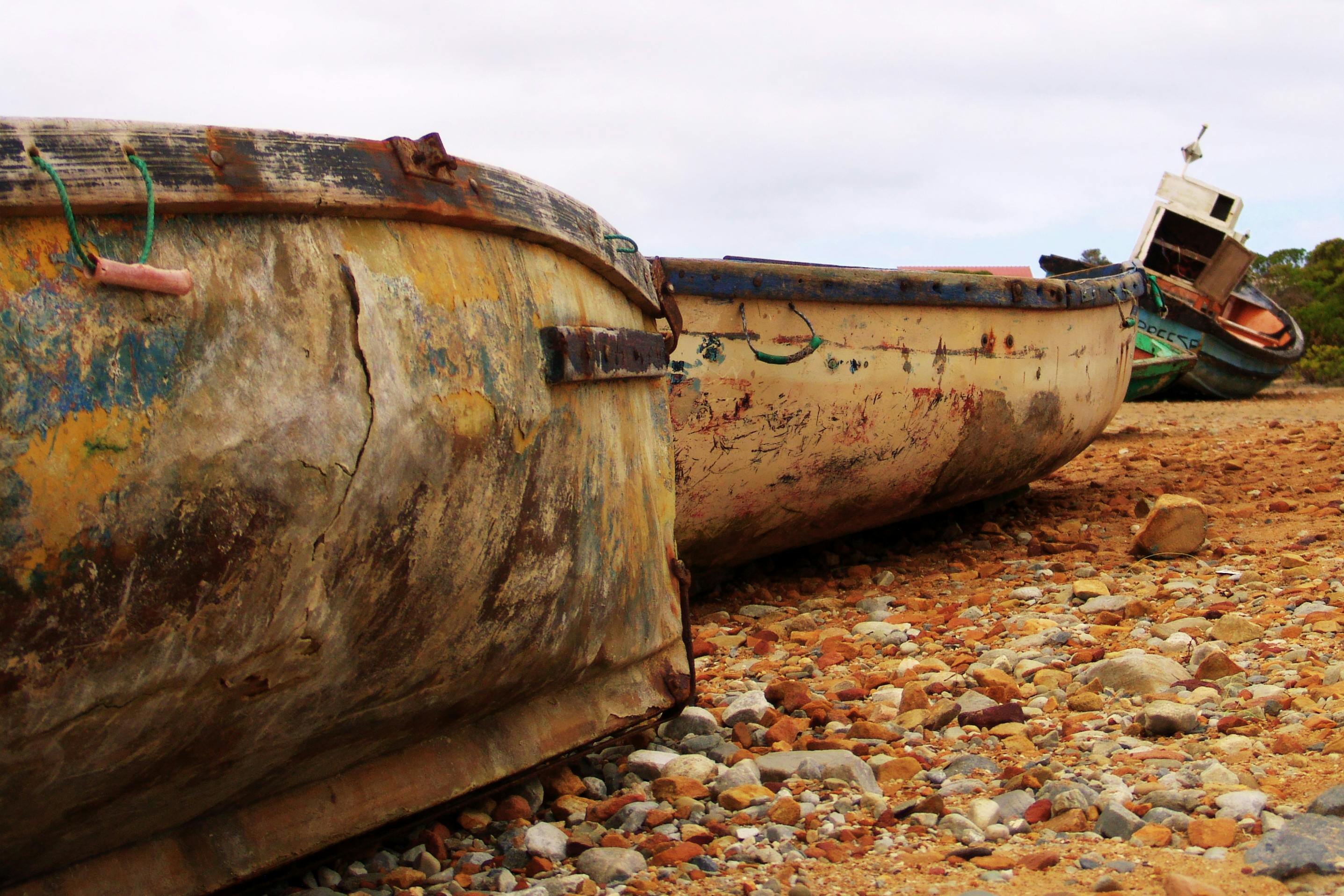 日本の伝統的な結婚式で和装を着た新郎新婦
