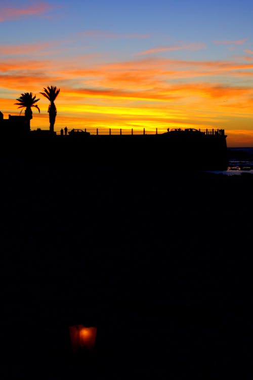 Free stock photo of palms, peer, sunset
