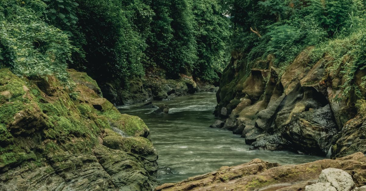 Photo of Equatorial Guinea
