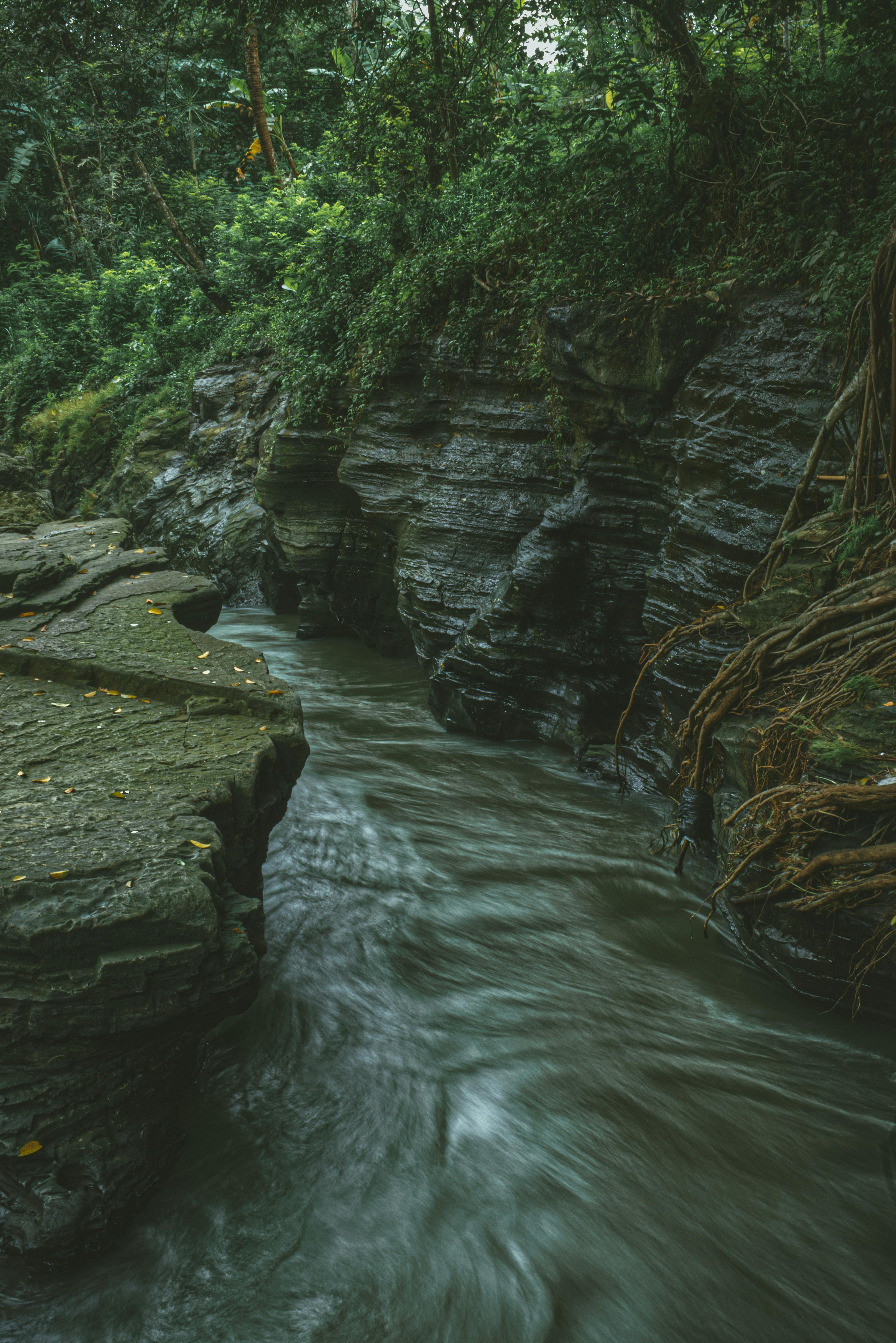 gray rock formation in between river