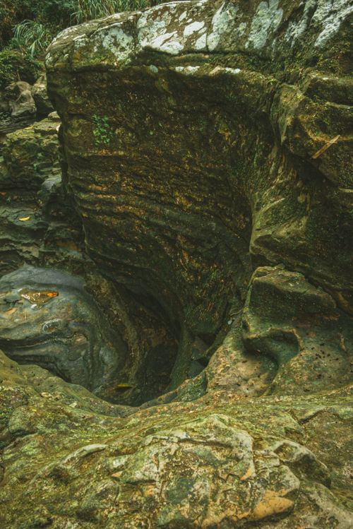 Free Close-up of a detailed rock formation showcasing natural textures in Yogyakarta, Indonesia. Stock Photo