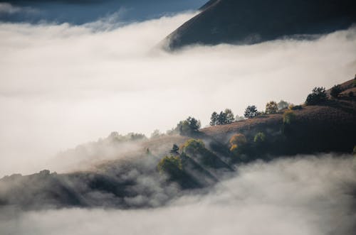 Foggy Mountain at Daytime