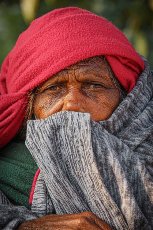 Free Close-up portrait of a senior woman bundled in scarves, conveying warmth and resilience. Stock Photo