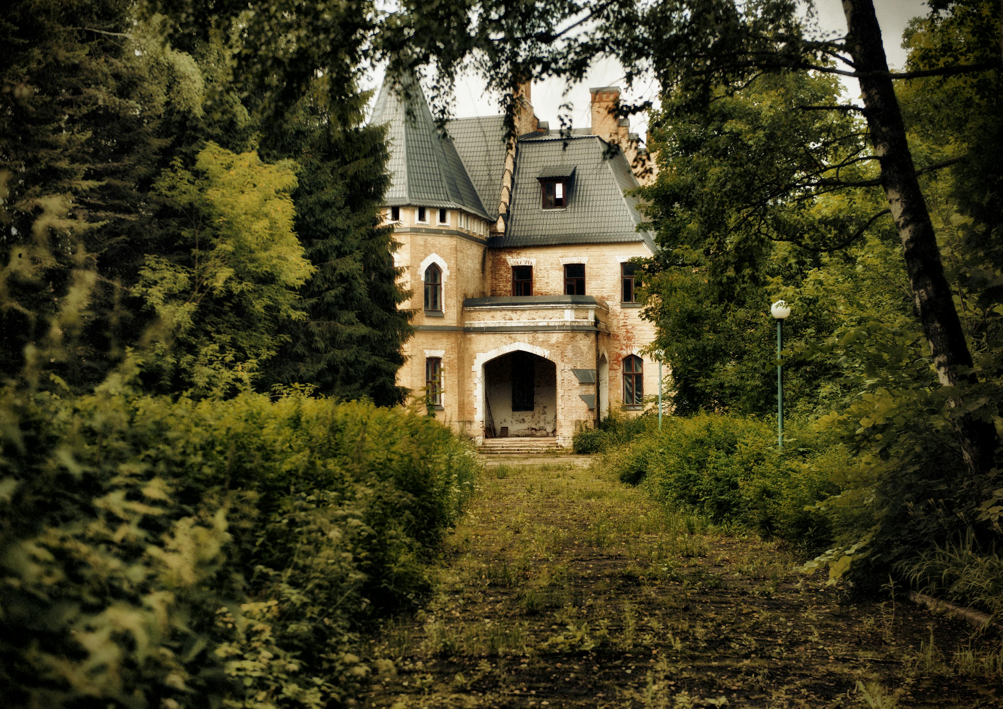 Berry's forest Ghost's Castle 森 Berry's forest, Ghost's castle 城 プレイマット 状態A