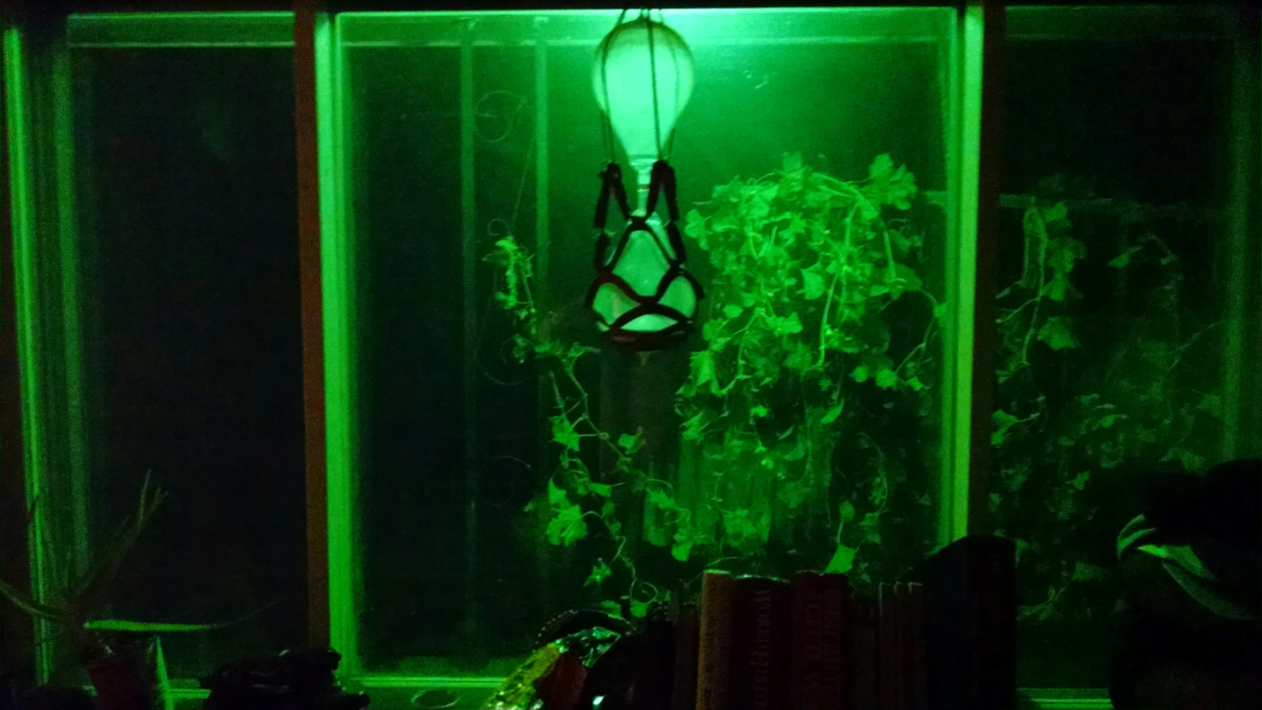 Traditional Silk Saree