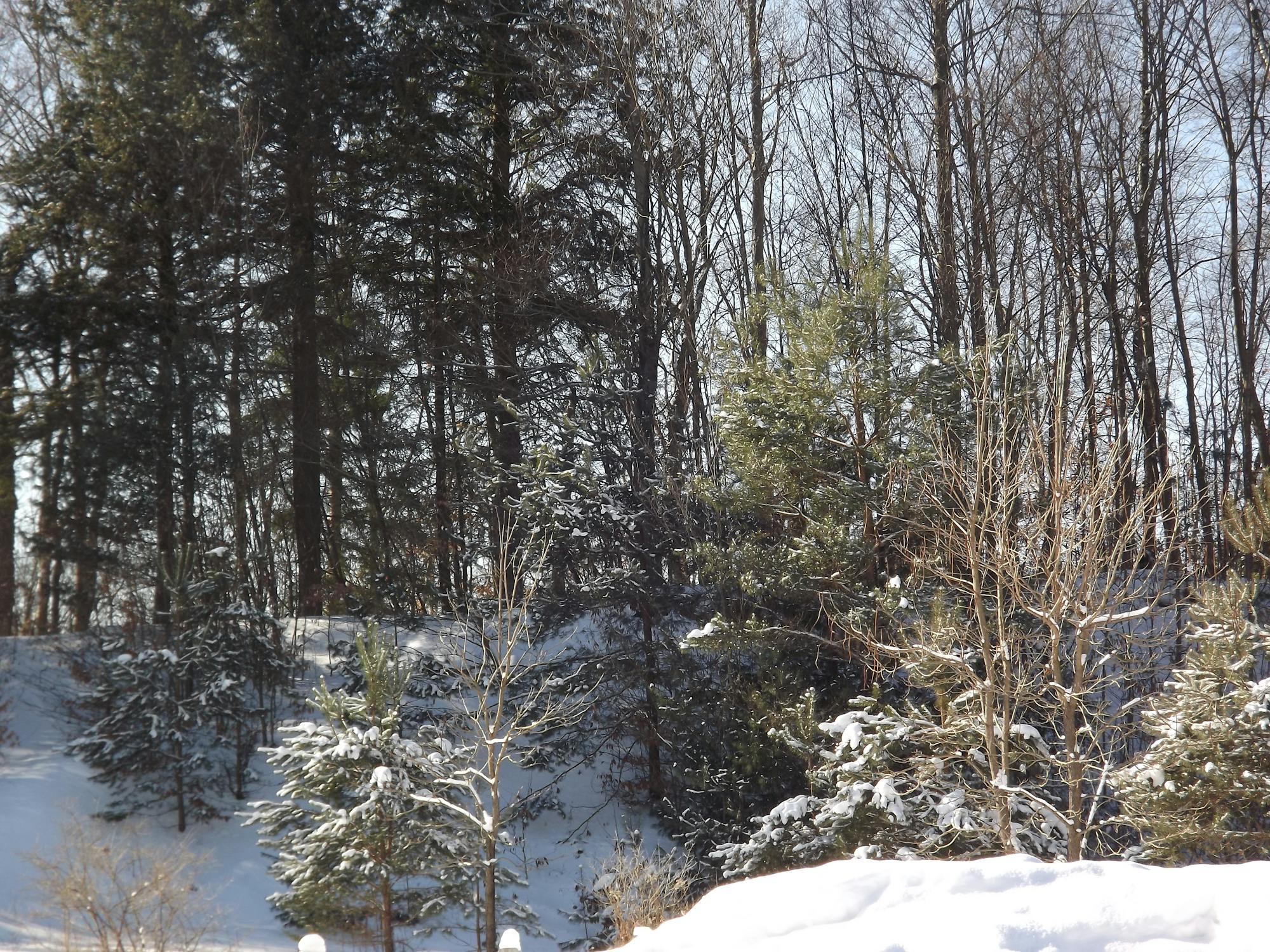 Unvergessliche Desert Safari Dubai Dein Abenteuer 2026 1 Zwei Personen blicken von einer roten Düne auf die atemberaubende Desert Safari Dubai Landschaft beim Sonnenuntergang.
