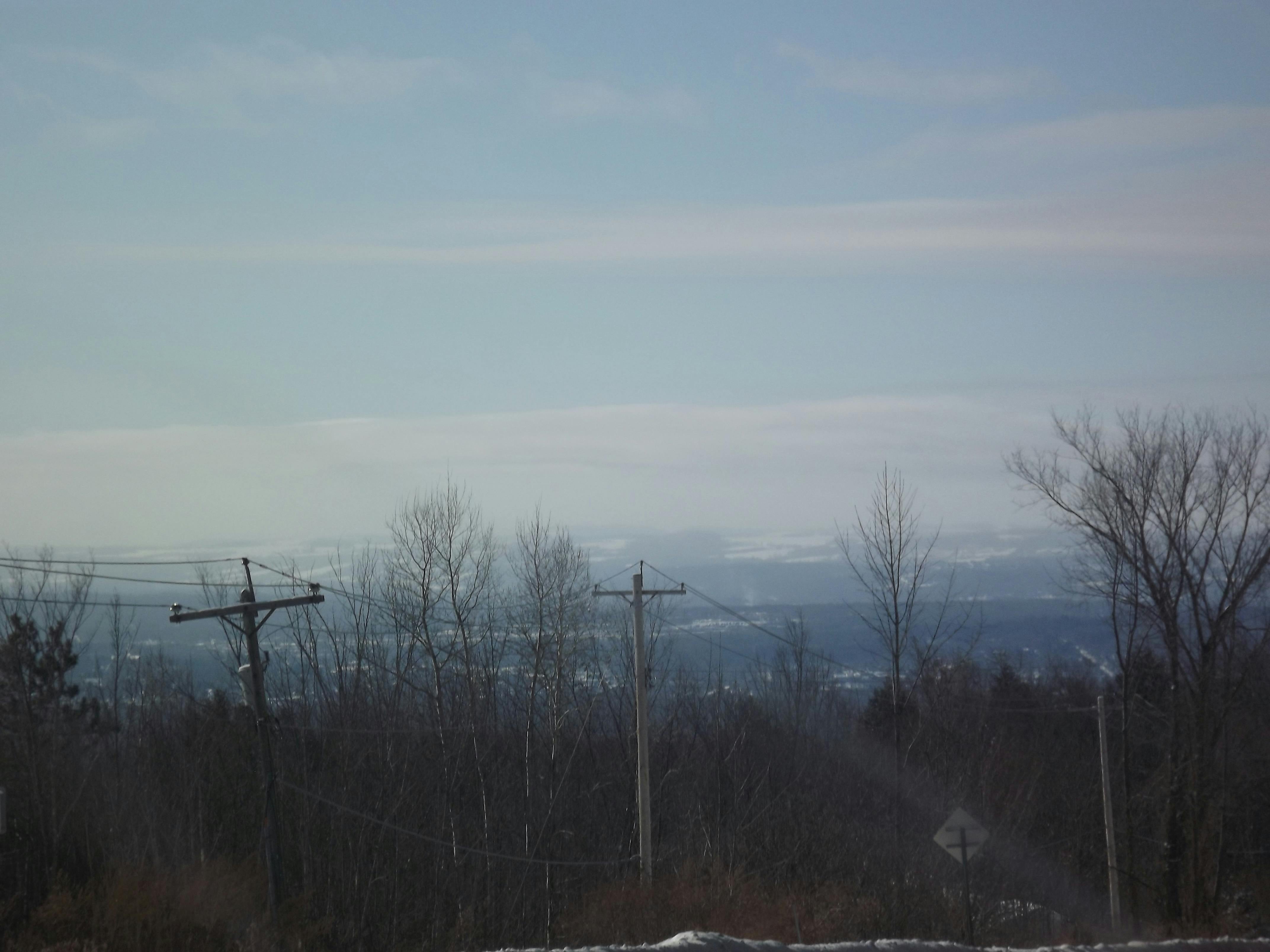 Designer Georgette Saree