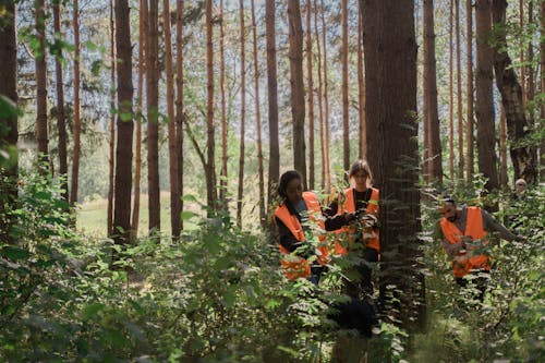 Ilmainen kuvapankkikuva tunnisteilla etsiminen, hihna, kävely