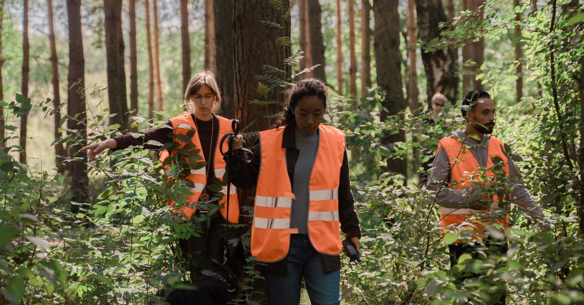 How Disaster Response Teams Rescue and Rehabilitate Dogs After Natural Emergencies