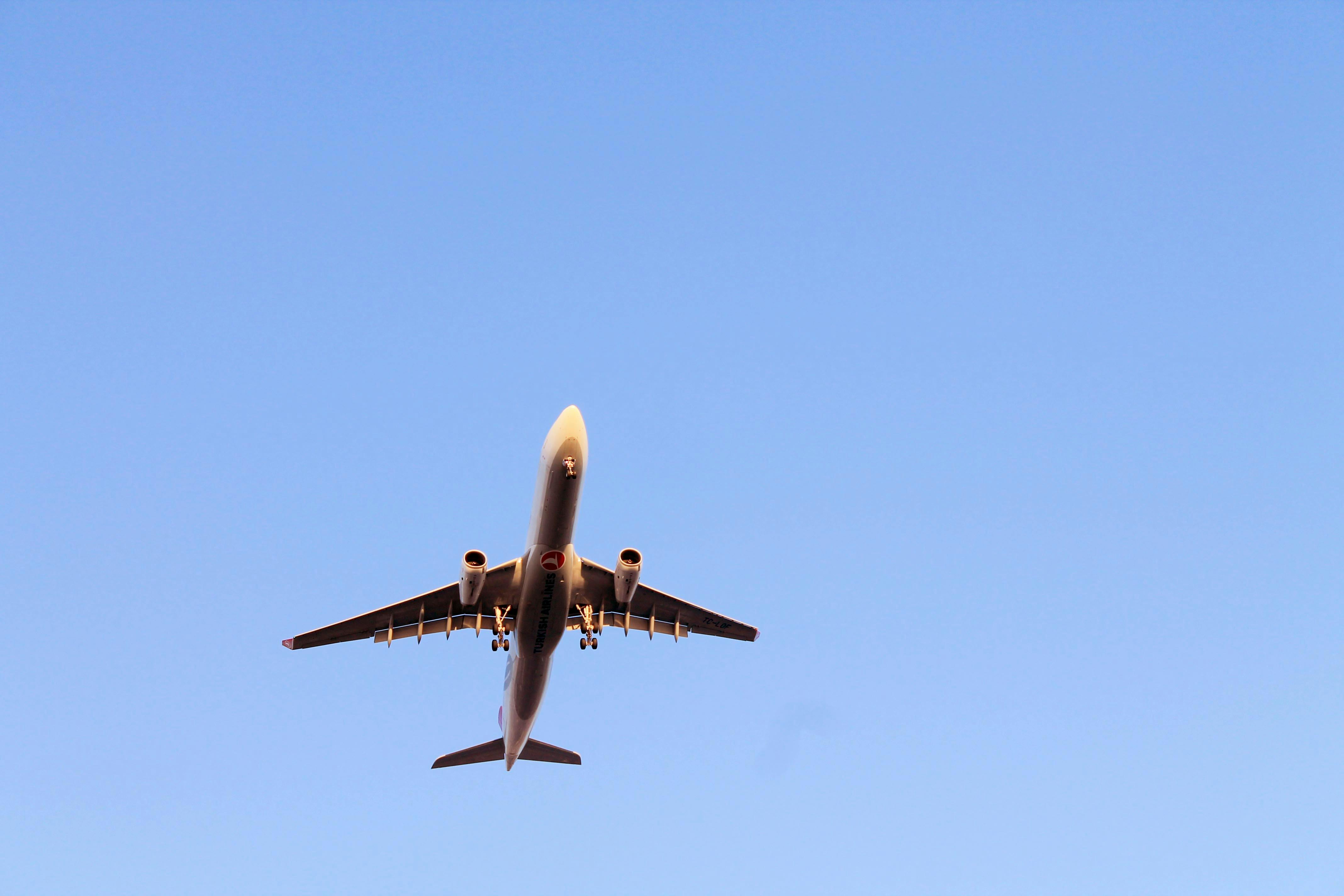 Free stock photo of airplane, blue sky, fly