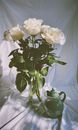 Bunch of White Roses in Glass Vase and Green Jug