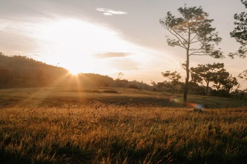 Free Tranquil sunrise over a grassy field in Gia Lai, Vietnam, capturing morning light and mist. Stock Photo