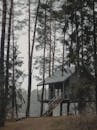 A Shot of a Cabin in Woods 