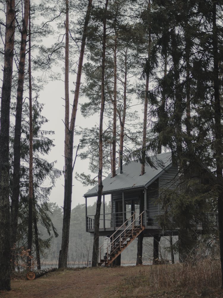 A Shot Of A Cabin In Woods 