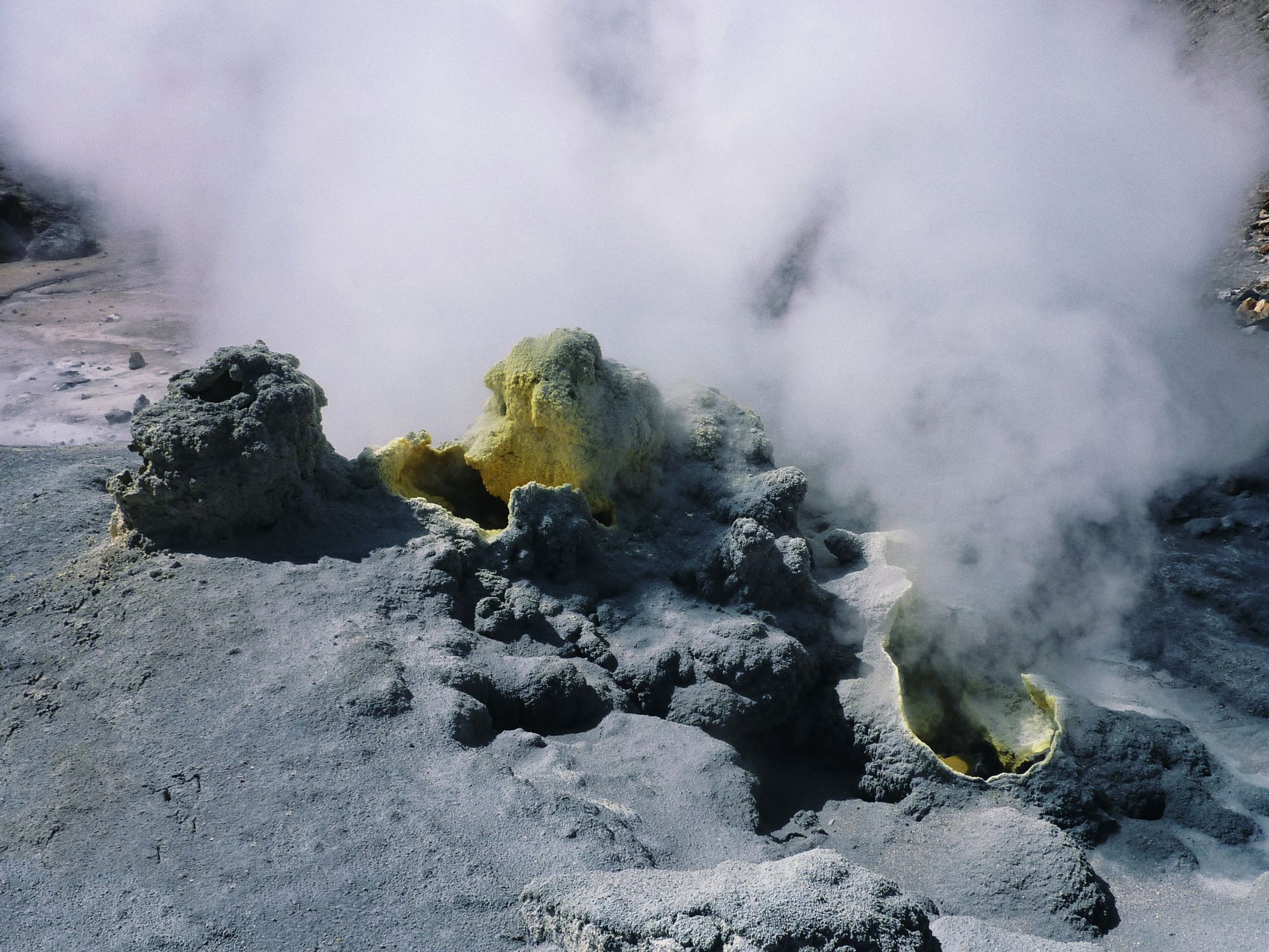 Dynamic geothermal vents emitting steam in Kamchatka's volcanic landscape, Russia.