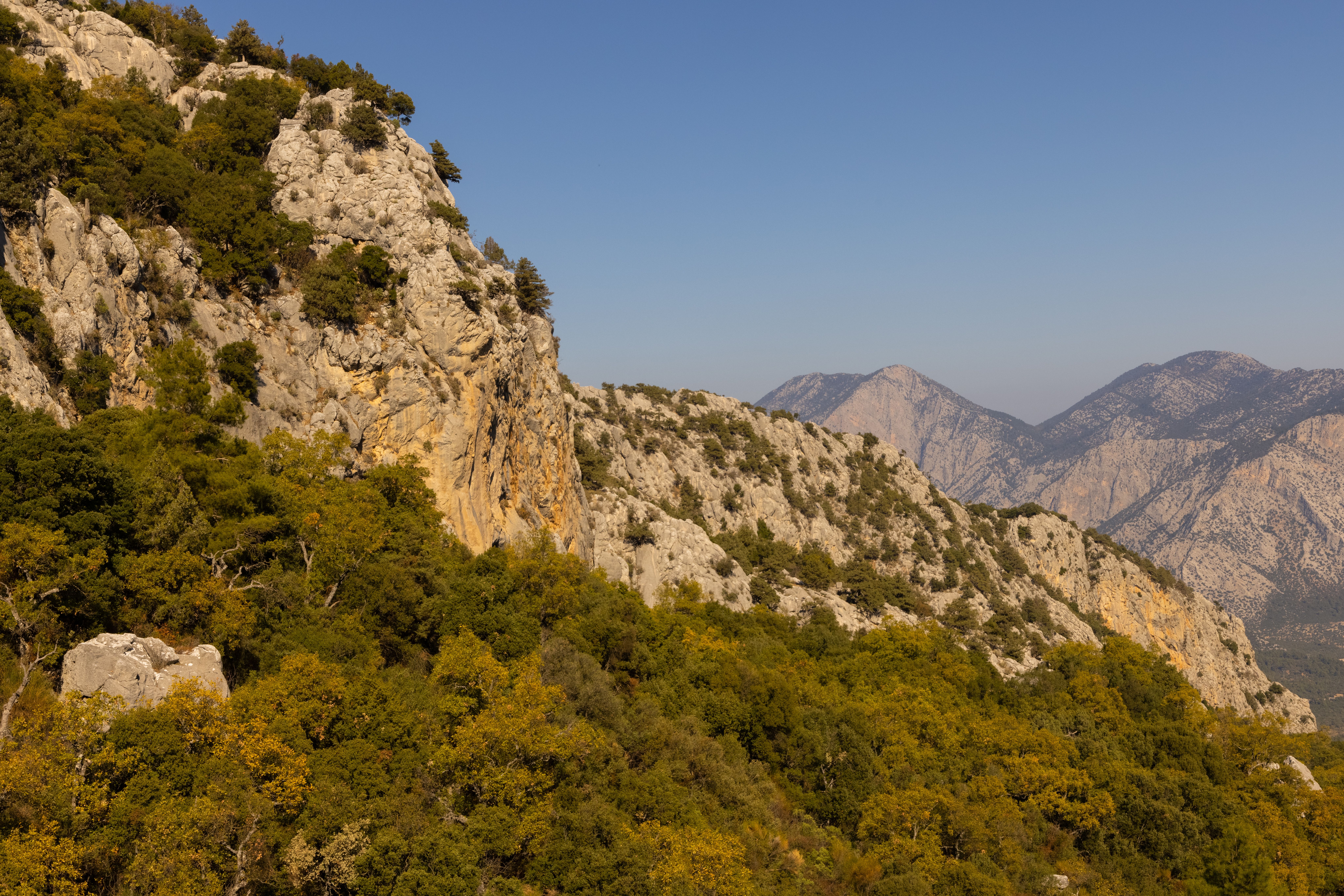 Green Trees on Mountains under the Blue Sky · Free Stock Photo