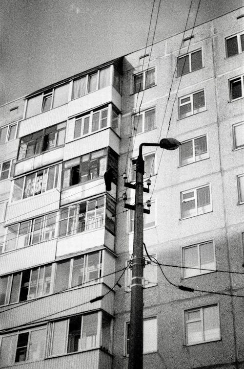 Foto d'estoc gratuïta de alt, apartament, escala de grisos
