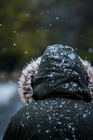 Person in a hooded winter jacket in falling snow, photo by Luke Seago on Pexels