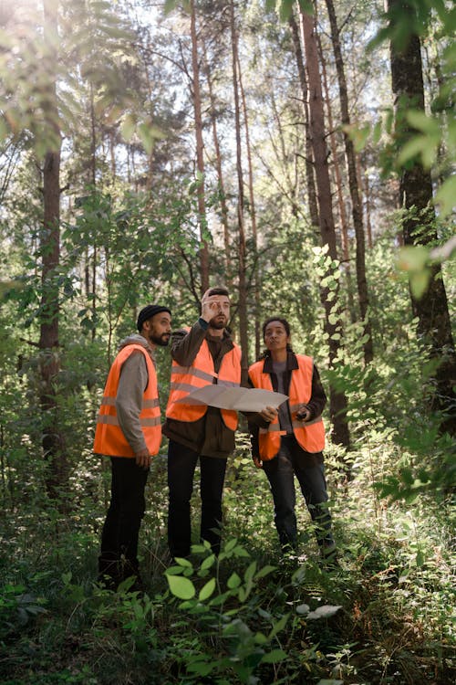 Foto stok gratis fokus selektif, hutan, kaum wanita