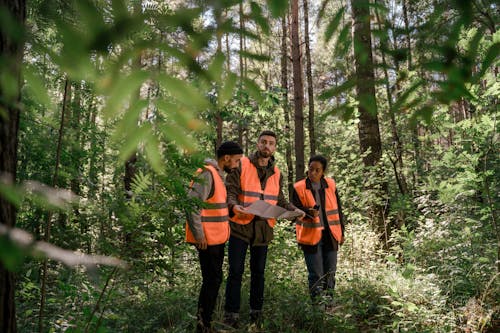 Foto stok gratis fokus selektif, hutan, kaum wanita