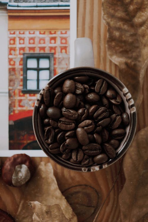 Základová fotografie zdarma na téma arabica káva, aroma, aromatický