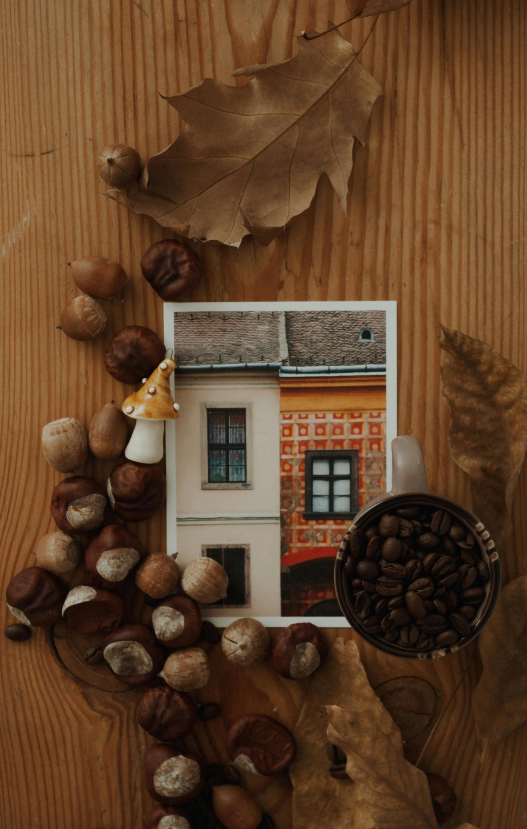 콩 스튜 이미지