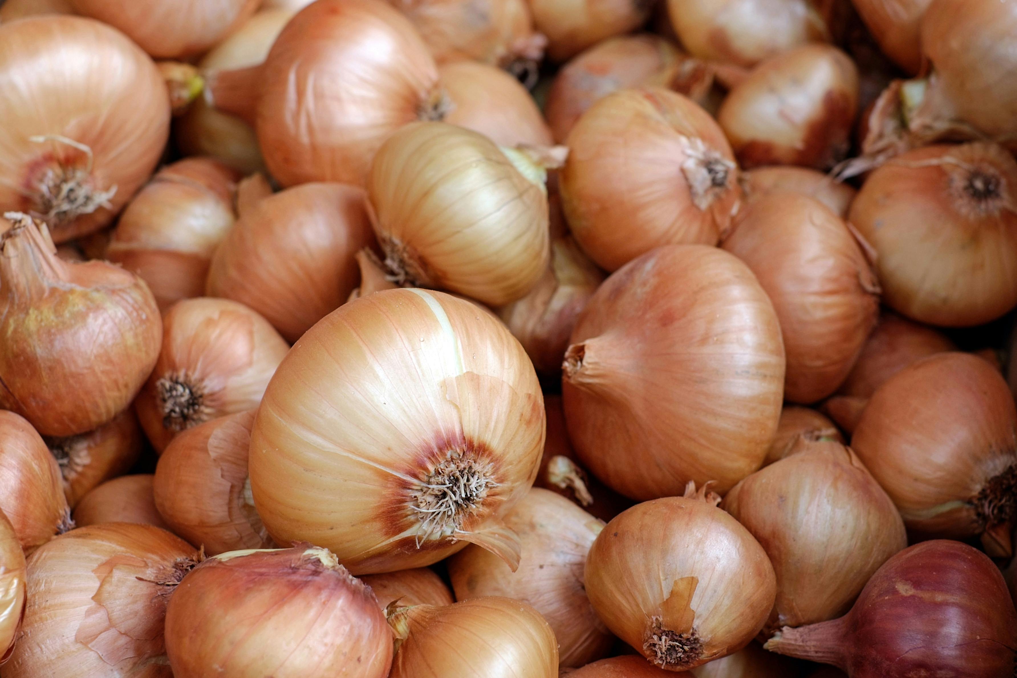 Image result for Onions
