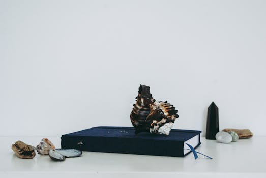 Close-up of seashells and a notebook arranged on a minimalist desk with ample copy space.