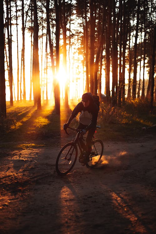 bezplatná Základová fotografie zdarma na téma cyklista, jízdní kolo, les Základová fotografie