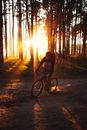 Man Riding Bicycle on Forest