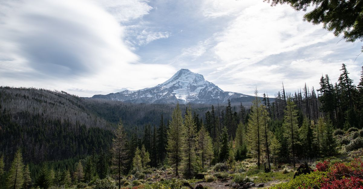 Breathtaking landscape featuring Mount Jefferson and surrounding pine forest under a dramatic sky.