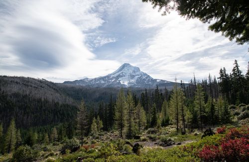 Free Breathtaking landscape featuring Mount Jefferson and surrounding pine forest under a dramatic sky. Stock Photo
