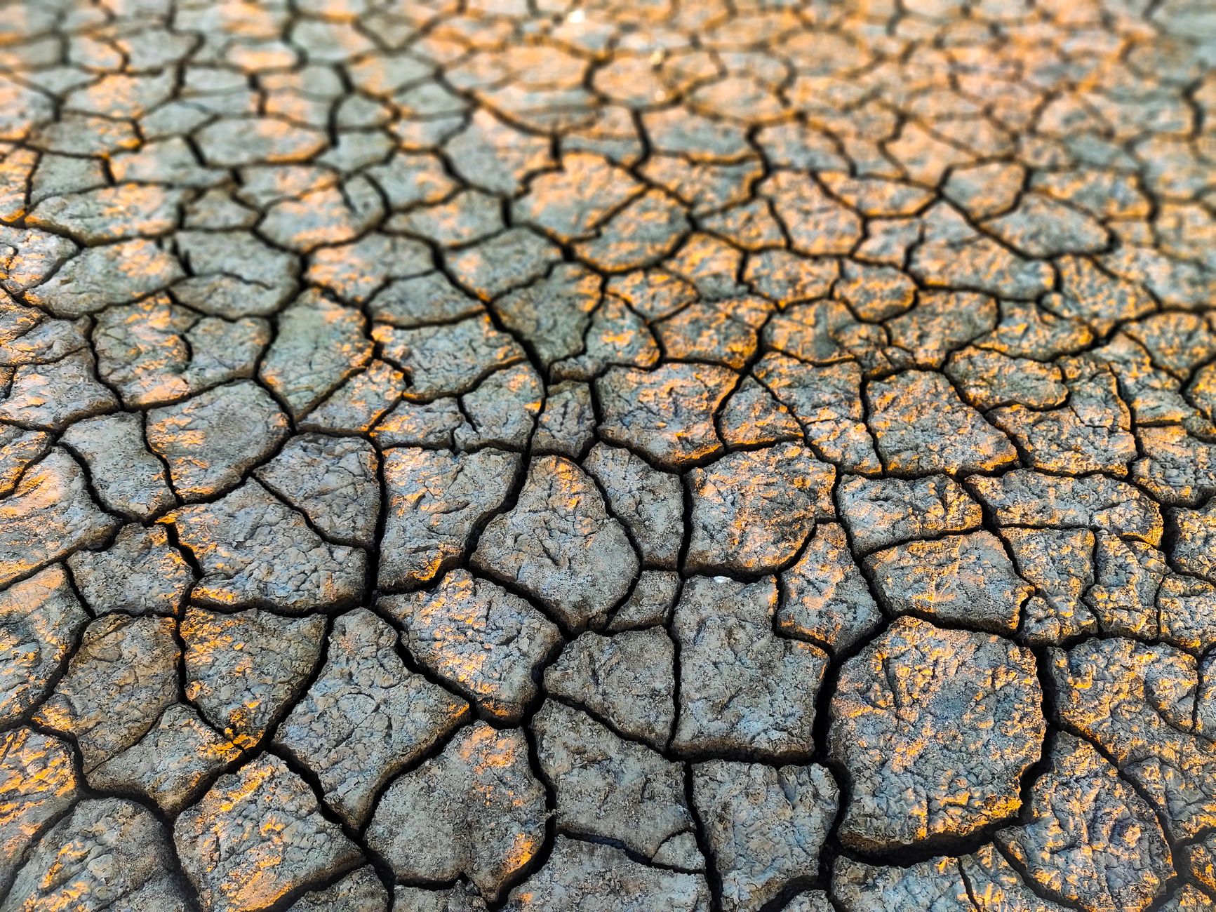 Close-up of dry, cracked earth depicting drought and erosion effects.