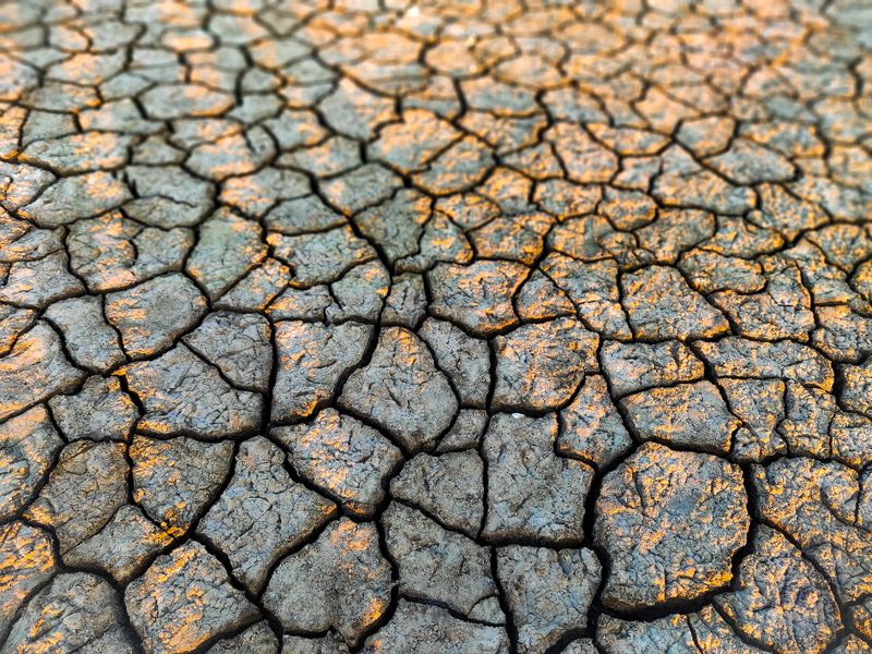 Close-up of dry, cracked earth depicting drought and erosion effects