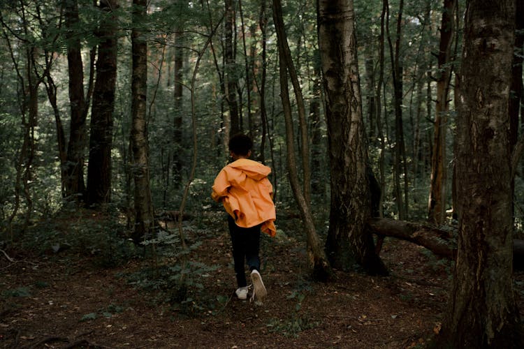 Rear View Of Teenage Boy Running In Forest