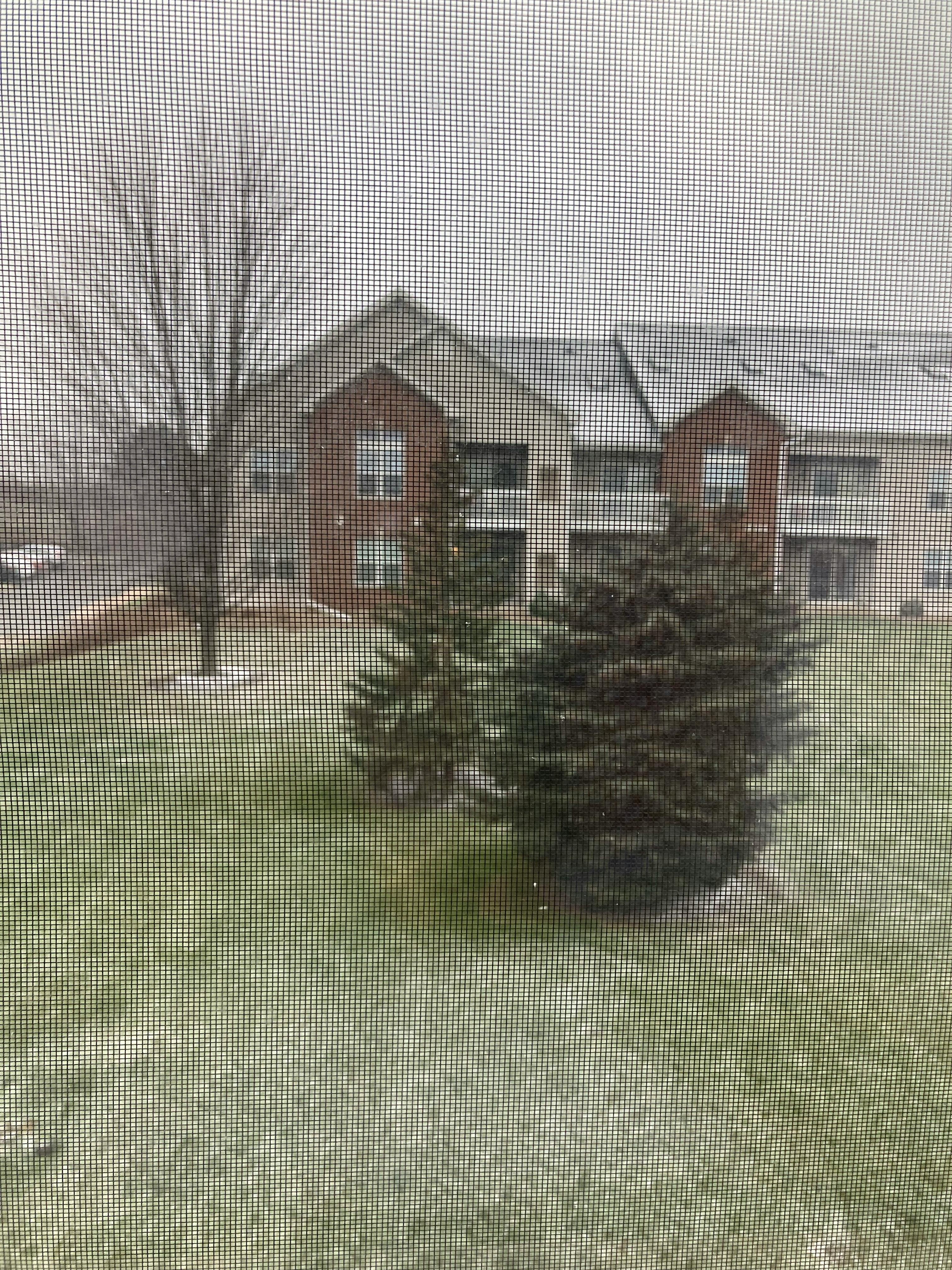 Person using a smartphone for digital payments, representing stablecoin usage