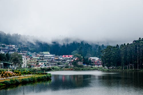 Village of Lake Placid Covered with Foggy Pine Trees