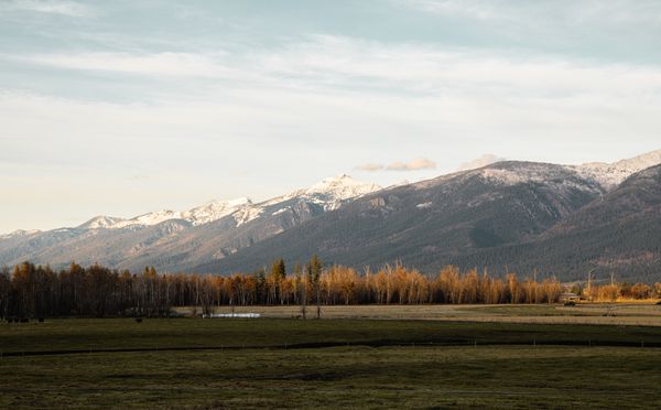 Autumn field with a mountain range behind it in Montana