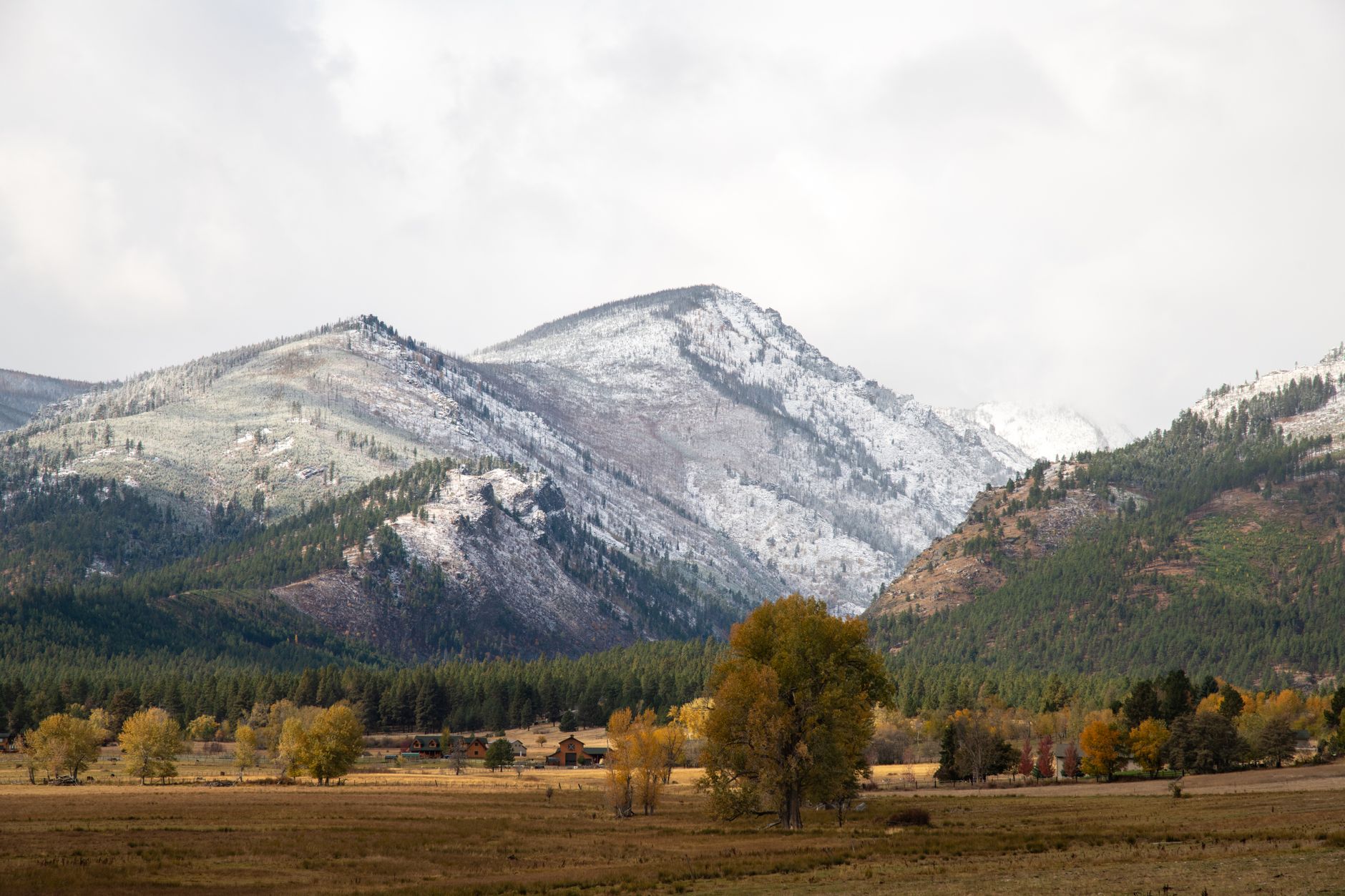 Stunning view of snow-capped mountains under a white sky in Montana's wilderness during fall.
