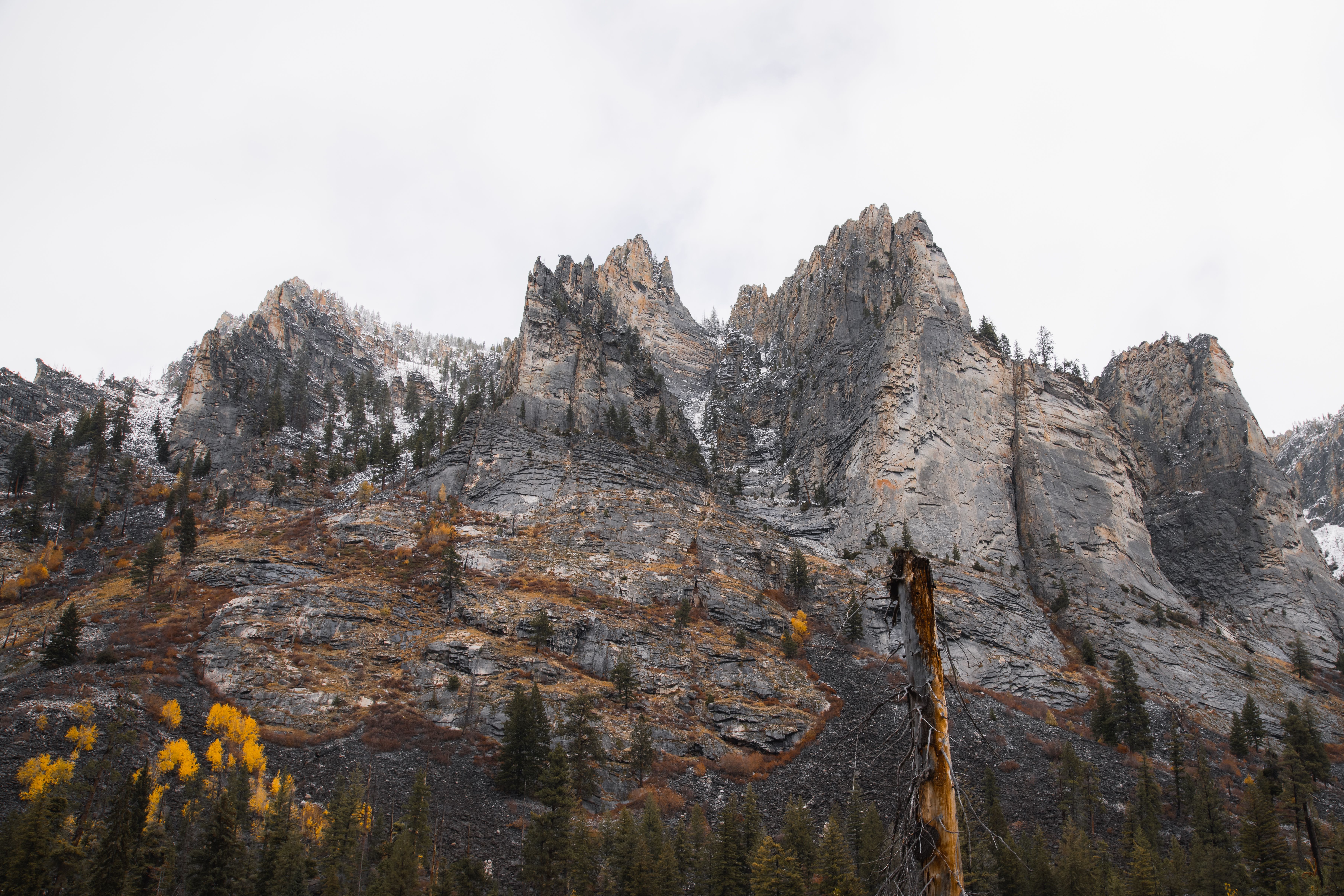 Montana