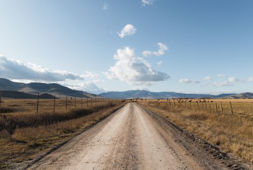 Free A picturesque dirt road stretches through Montana's vast countryside with mountains in the background. Stock Photo