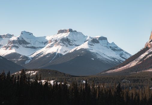 Breathtaking snowy peaks of the Canadian Rockies in winter, surrounded by dense forest.