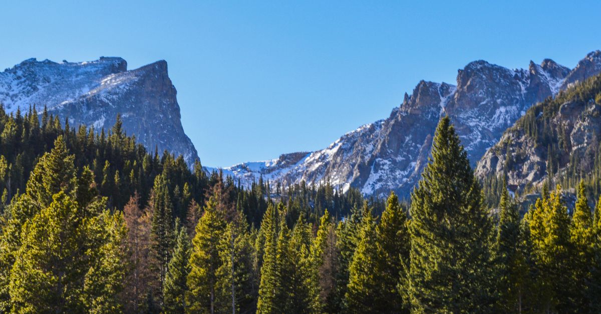 Scenic view of the Rocky Mountains with lush pine trees and clear blue skies in Colorado.