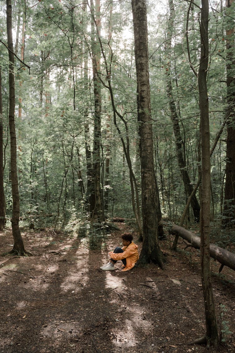 Person In Orange Jacket Sitting Near Tree 