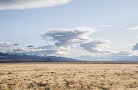 Grassland Under White Clouds and Blue Sky