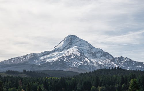 A Snow Covered Mountain Near a Forest